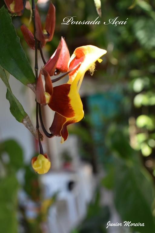 Pousada Acai Araquari Exteriér fotografie